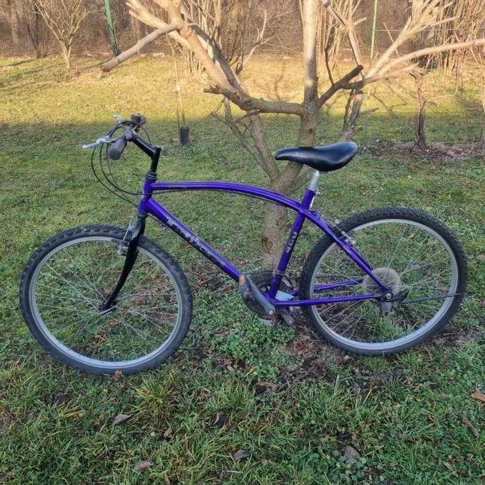 Rower niebiesko-fioletowy