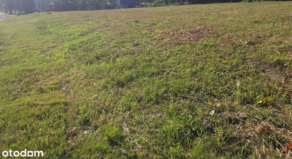 Wynajmę działkę 4200 m² Międzyrzecze Dolne,okolice strefy ekonomicznej - Widok 3