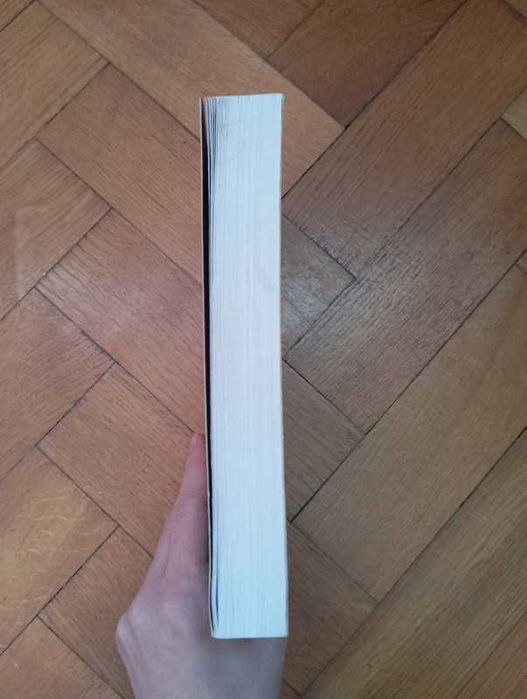 W powodzi kłamstw - David Ellis