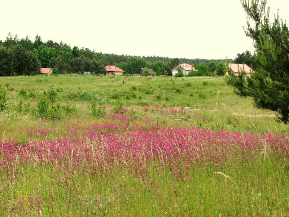 Działka bud. uzbrojona z WZ w -Łapka k/ Barczewo