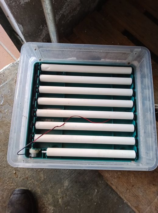 Chocadeira de 48 ovos