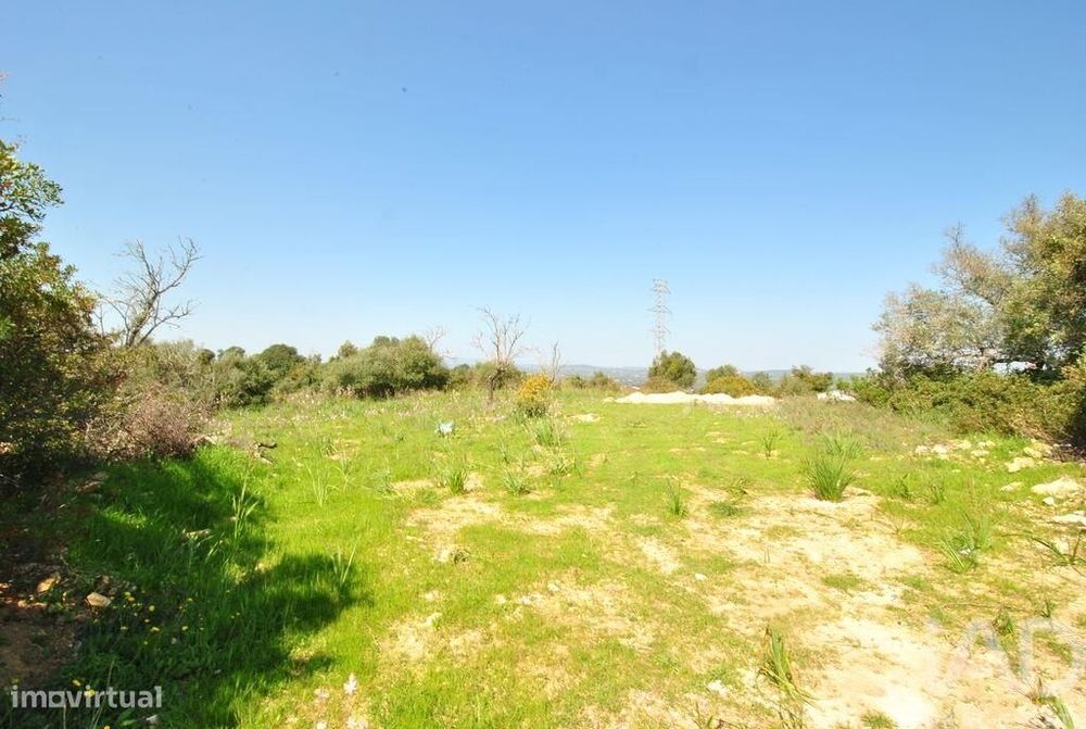Terreno Agrícola em Paderne