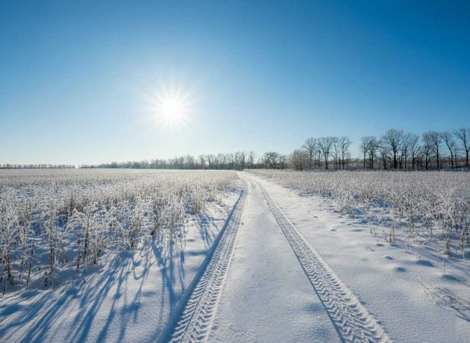 Продаж земельної ділянки 71 сотка - ОСГ. До траси - 100 метрів. ID:608