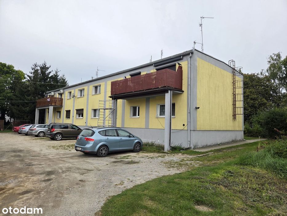 Mieszkanie na wynajem 52,11 m² z ogródkiem, gm. Kórnik