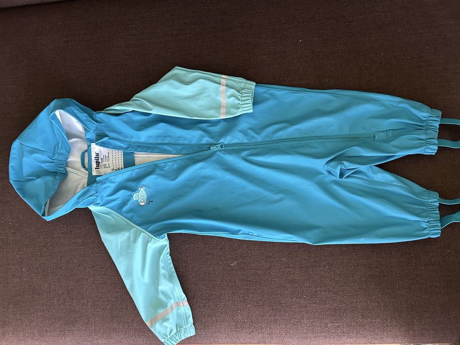 Дощовик весняний