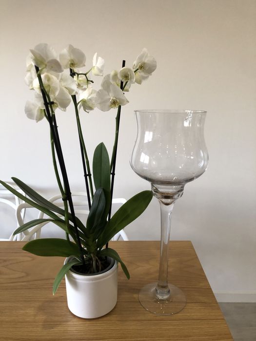 Jarra ou vaso para flores