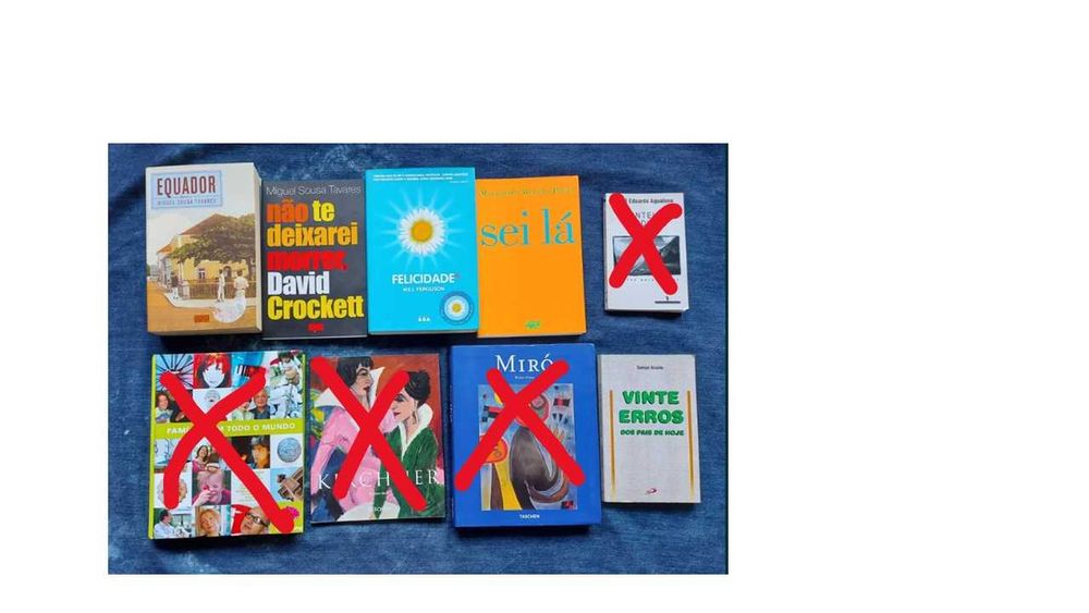 Livros diversos sobre arte, lifestyle, romance, educação, ...