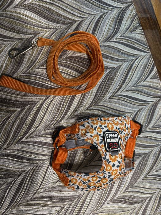 Nowy zestaw dla malego psa smycz szelki s/xs