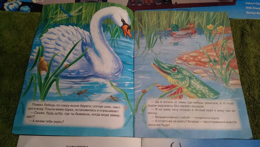 Детские книги 3шт. Удивительные животные, Лебедь Щука и Рак, Цвета