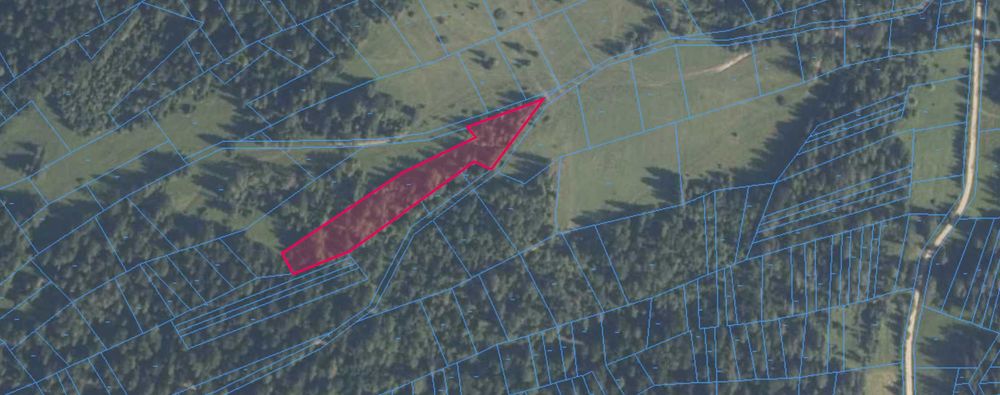 Działki leśne - 33a i 12a - Lipnica Wielka Centrum - łatwa obsługa