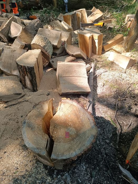 Drewno opałowe i kominkowe wycinka drzew