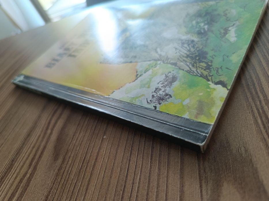 Biały wódz indian. Mayne Reid