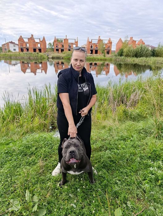 В'язка хлопчик кане-корсо