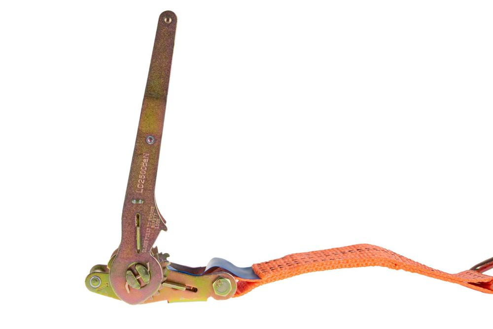 Pas transportowy z grzechotką ERGO 6m 8m 10m 5T 50mm mocny 1908