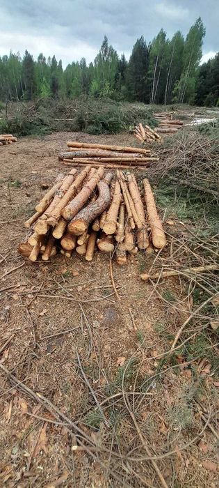 Продам дрова оптом