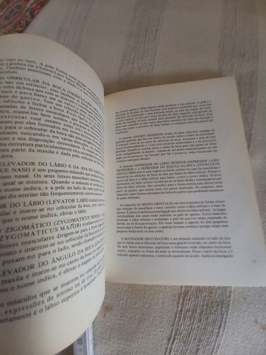 Livro de Desenho. Desenho da Cabeça Humana