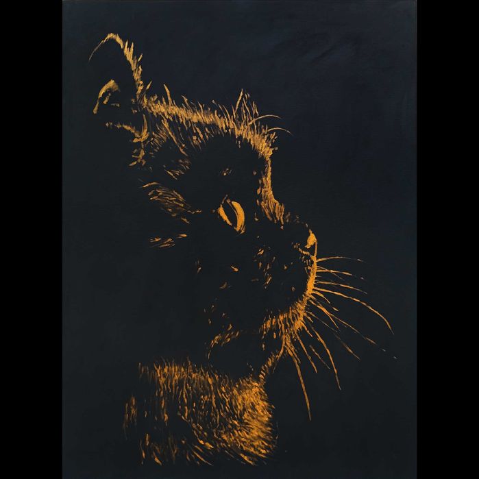 Obraz namalowany na płótnie , wymiary 73x54cm