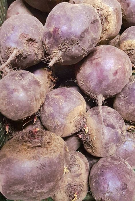 Buraki ćwikłowe 24kg odsort bezpośrednio z gospodarstwa
