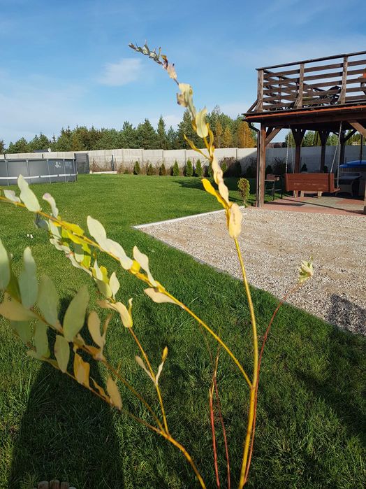 Walentynki, 8 os, Balia z Jacuzzy,basen, plac zabaw, domek całoroczny,