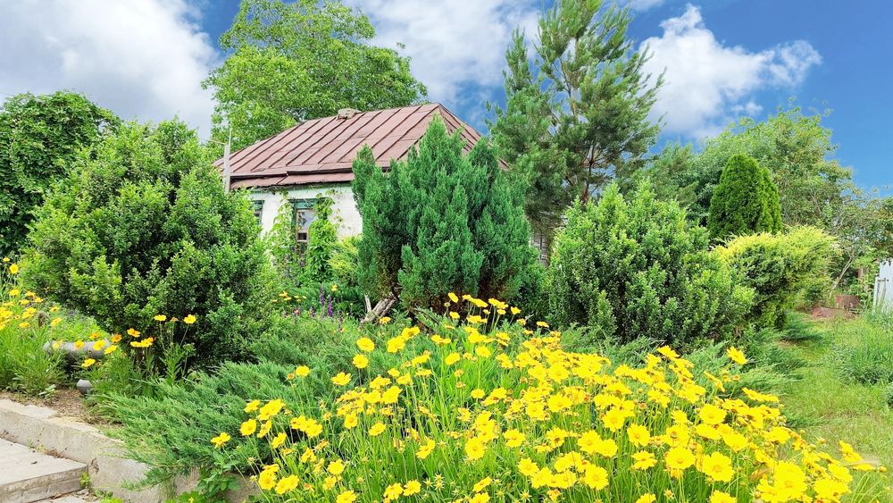 ПРОДАМ будинок у центрі с.Миколаївка, Самарівський район.