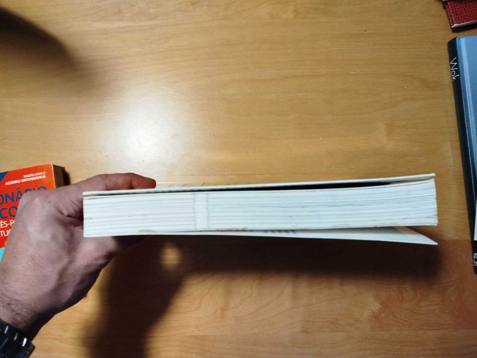 Livro Guia Prático da Gravidez - Professor Émile Papiernik
