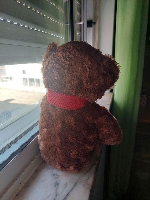 Urso de Peluche Novo434646673450618881