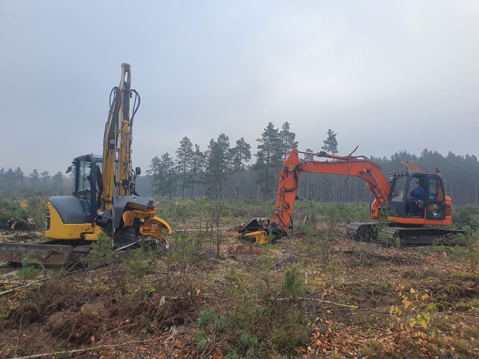 Wycinka Karczowanie Las Samosiejki