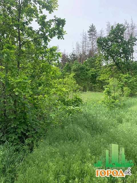 Продаж земельної ділянки село Свидівок