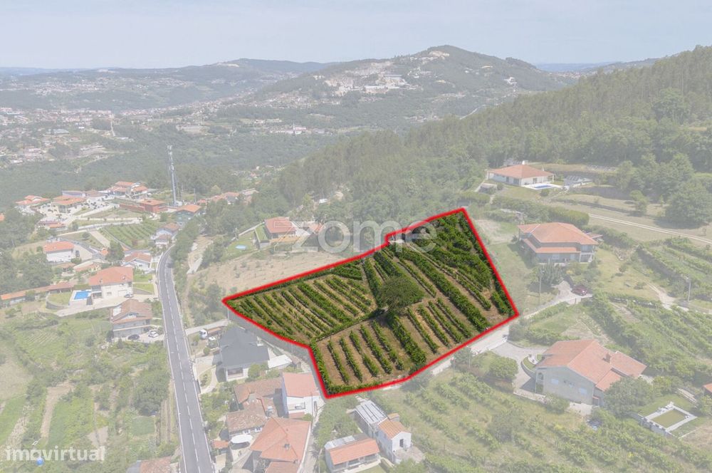 Quinta de Cortinhas | Vinha, Água e Potencial Turístico
