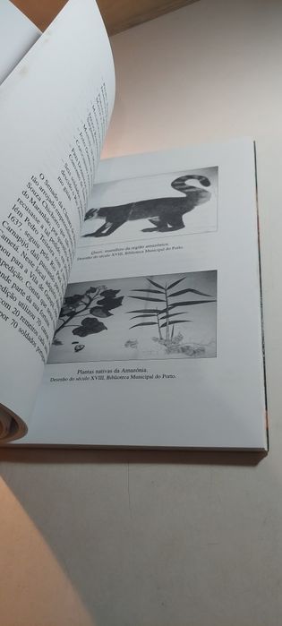 A Expedição de Pedro Teixeira (Amazónia) - Anete Costa Ferreira