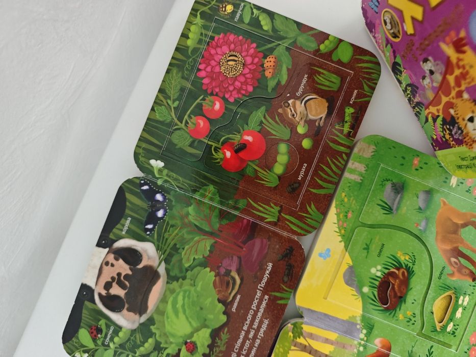 Книги зазирни у віконечко /Хто живе на фермі , у лісі, в зоопарку / книги з віконечками/ дитяча книга