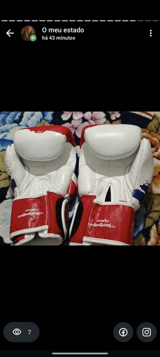 Luvas fairtex 12 onz novas