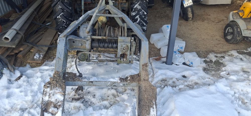 Wciagarka leśna bardzo mocna