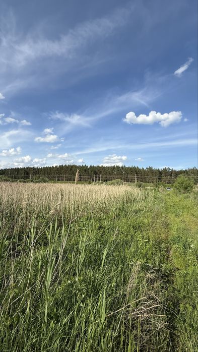 Ділянка 8 га, с. Романків, Підгірці, Київська область