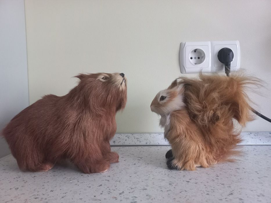 Набір тварин  із хутра.+мавпа із кокоса.