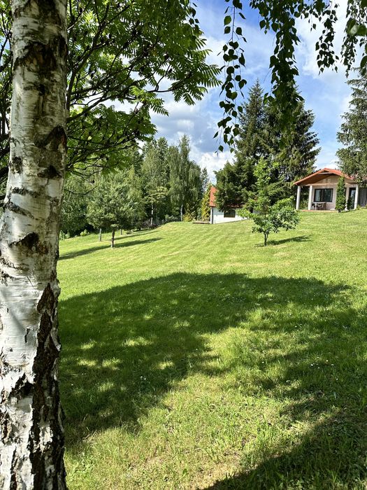 Domek letniskowy nad jeziorem