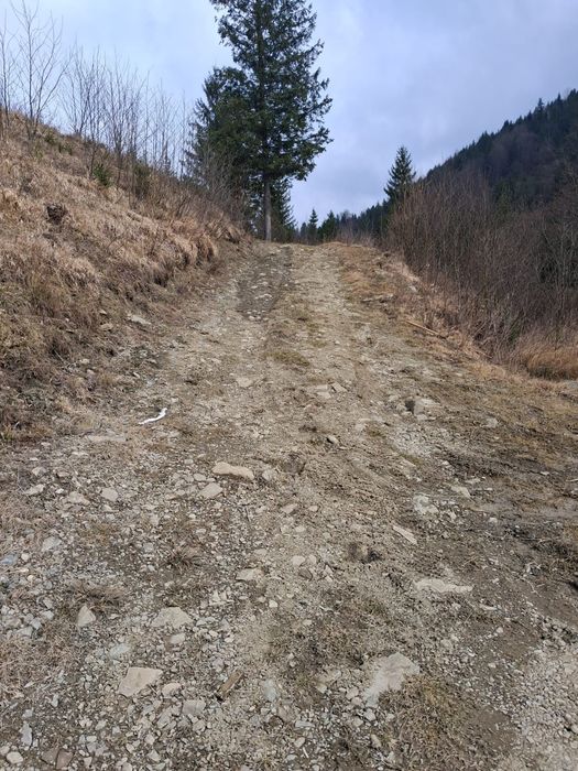 Земельна ділянка Криворівня