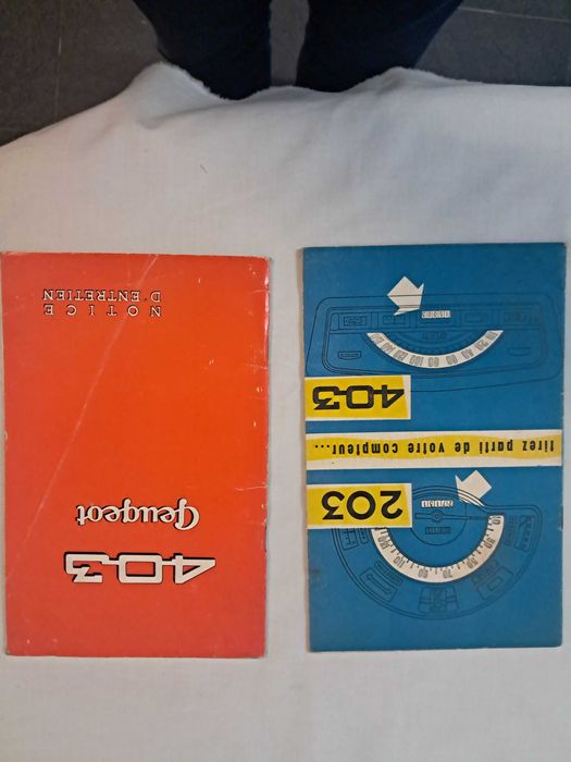 Manuais do carro ou proprietário clássicos