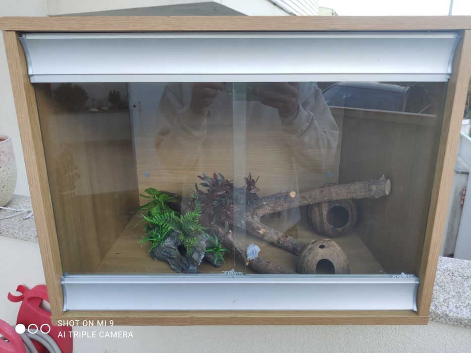 Terrário para répteis