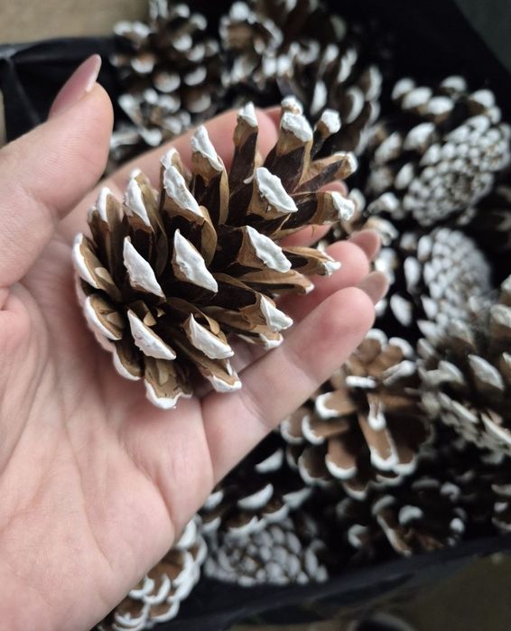 Шишки декоративні, новорічні