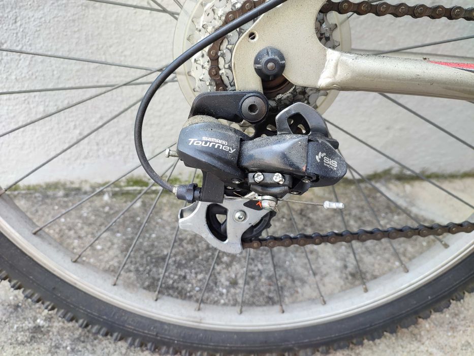 Bicicleta de adulto