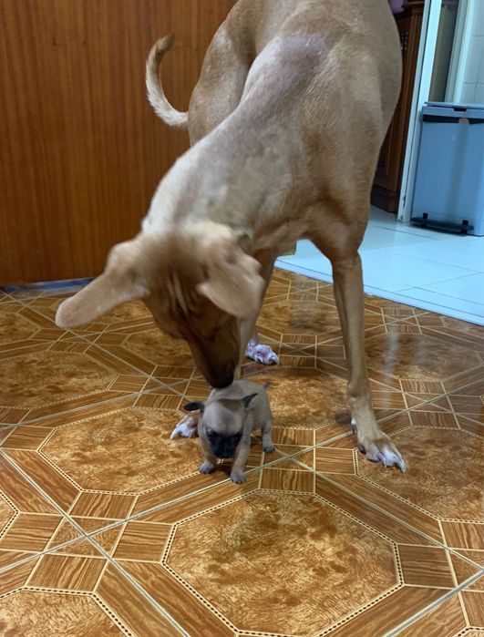 Bicicleta de Lapierre