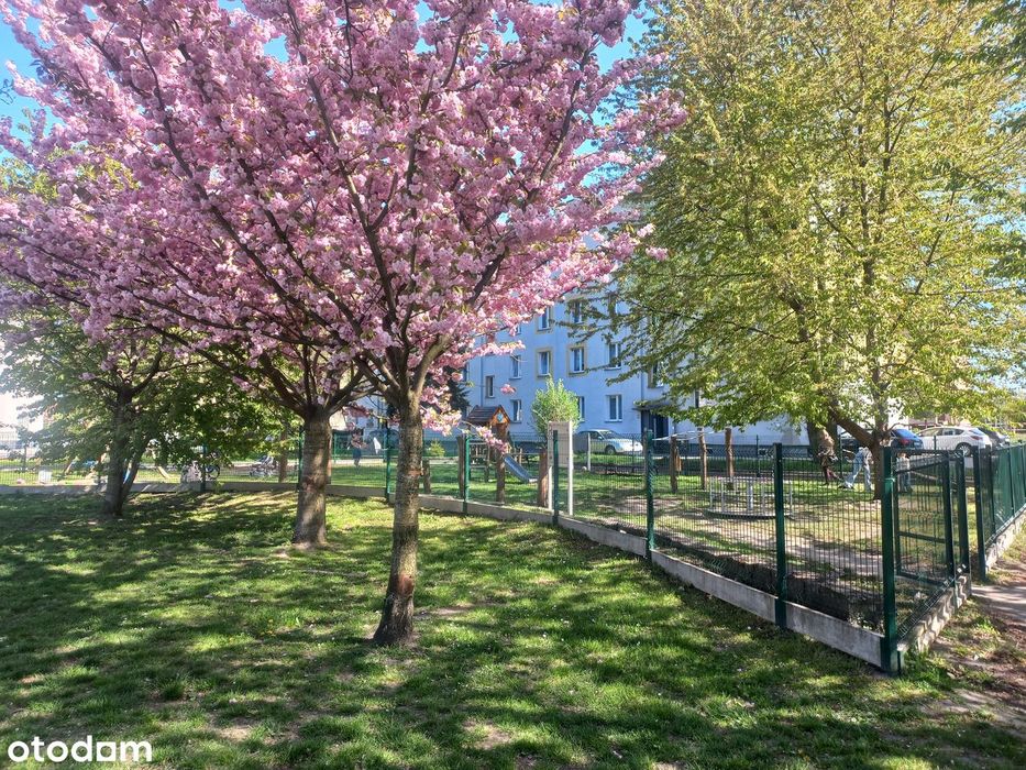 REZERWACJA Wygodne mieszkanie w Raciborzu na Ostrogu