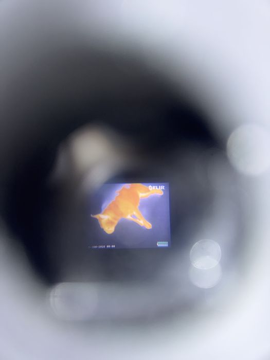 Termica flir recarregavel