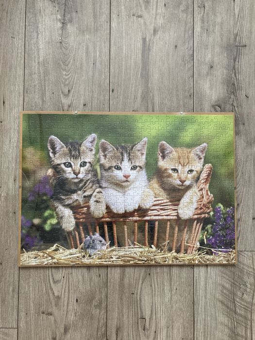 Puzzle koty 500 elementów