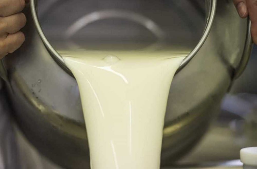 mleko dla cieląt z krowiego mleka szybkie przyrosty bez biegunek