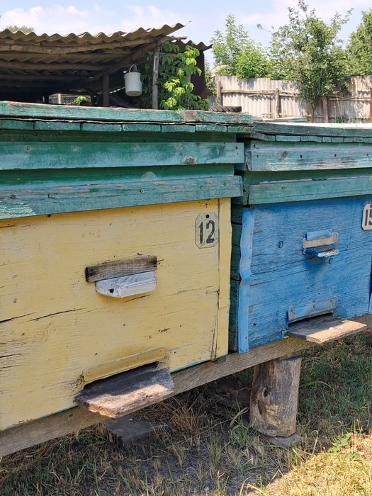 Продам б/у вулики