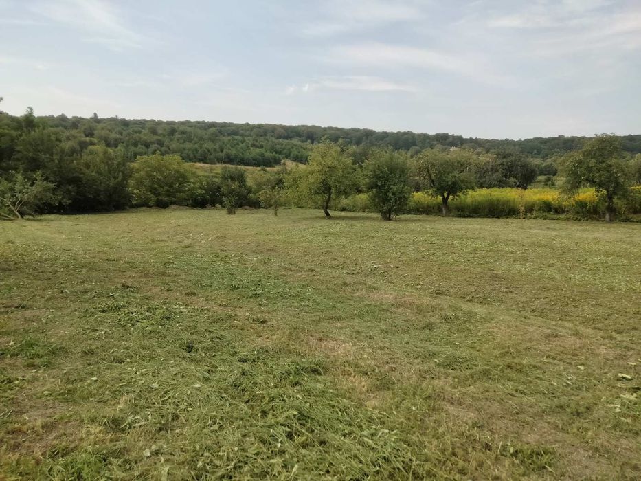 Косіння трави.Зачистка територій!