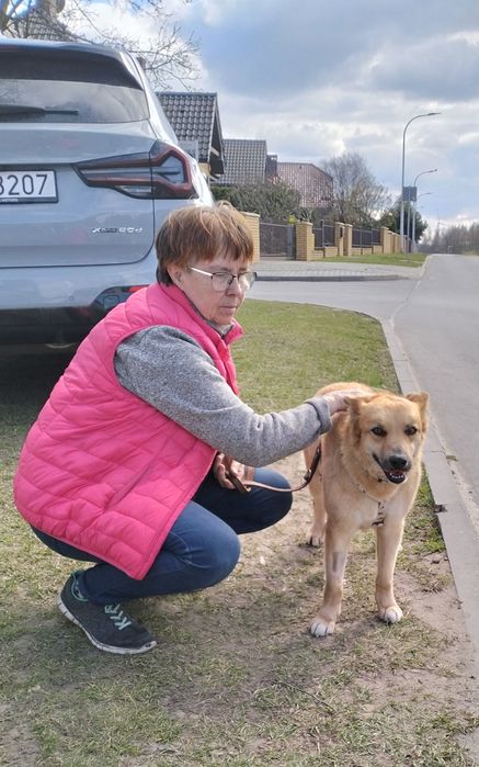 Saba szuka dobrego czlowieka
