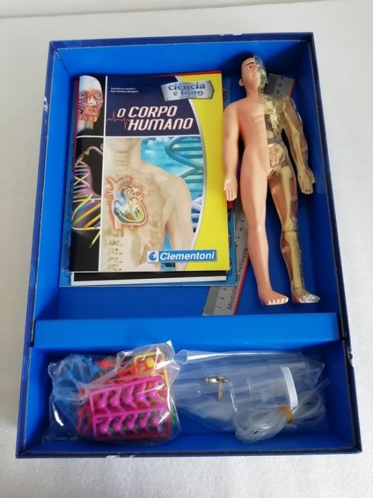 Jogo "O Corpo Humano" (9+)